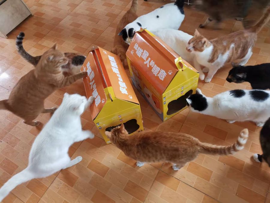 1643079565608862FhNz.jpg 公益时报1.jpg