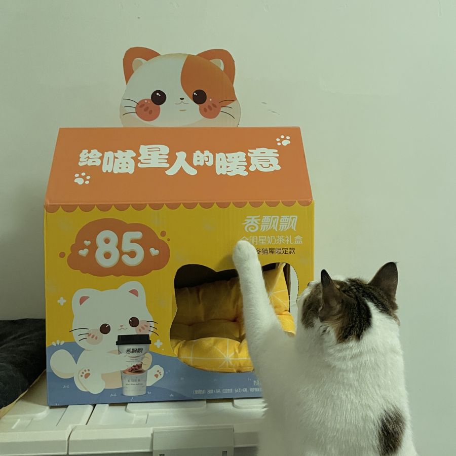 16430797577226601pMT.jpg afdbc8270f9a90851e9ca9388f3560c.jpg